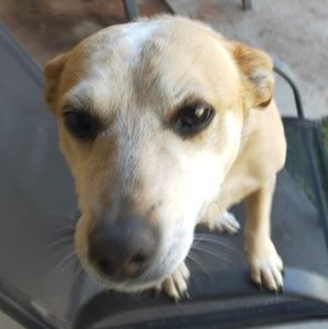 Meet your Posher, Sharon